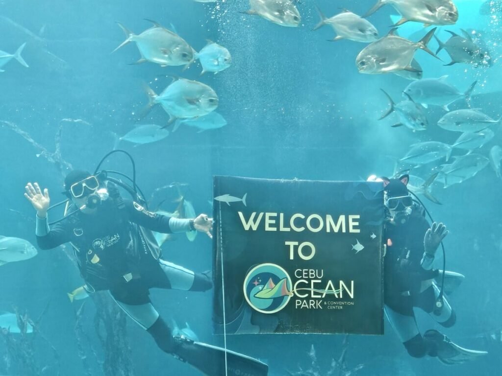 세부 오션파크 Main Tank Feeding - Welcome to Cebu Ocean Park